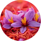 Saffron-Extract.webp